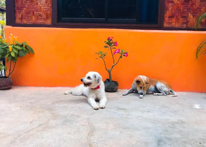 Don Leo's Frühstückspension
